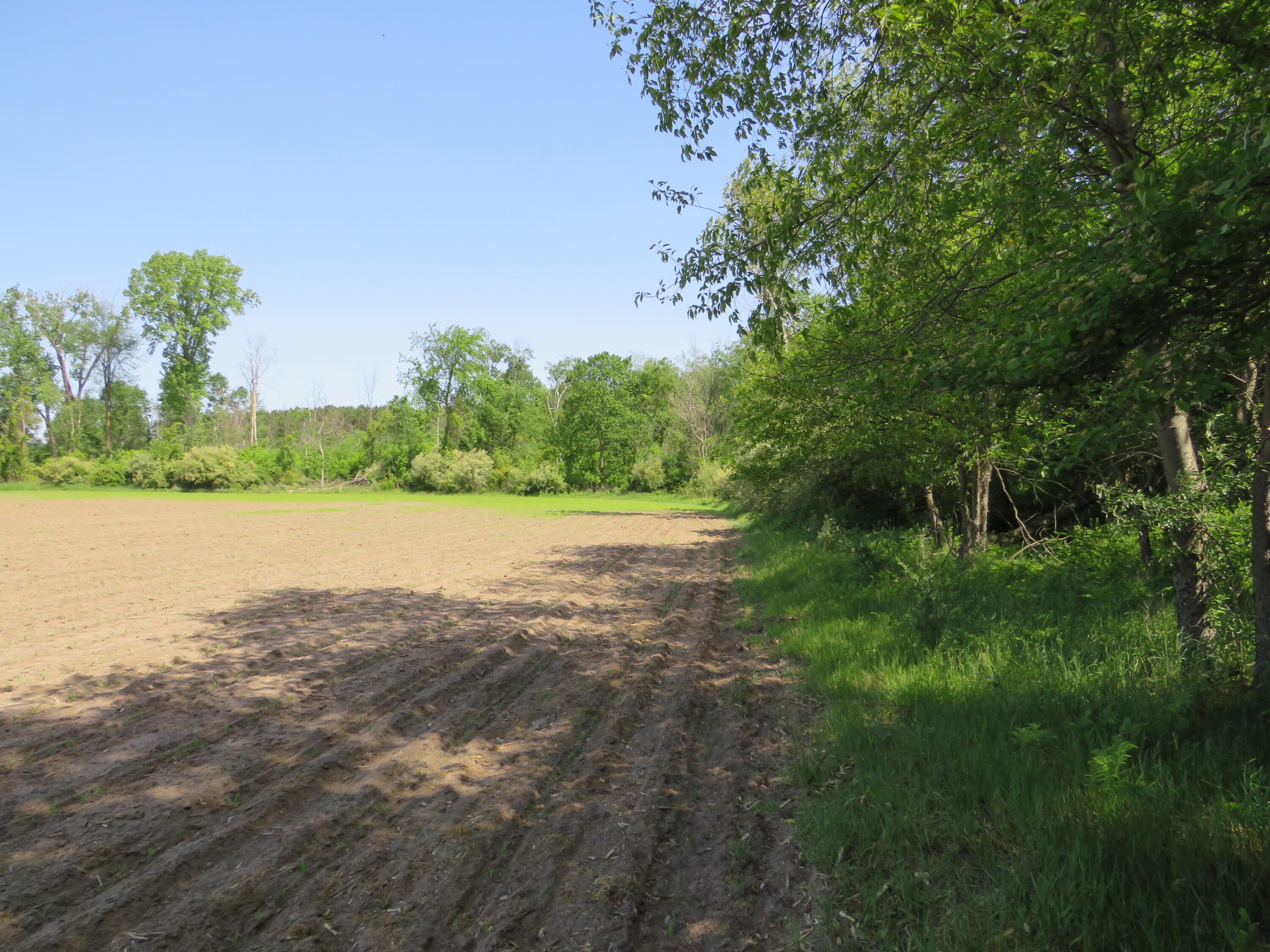 Vl South Elkton Road Owendale, MI 48754 - Photo 17 of 39 IMG_6487