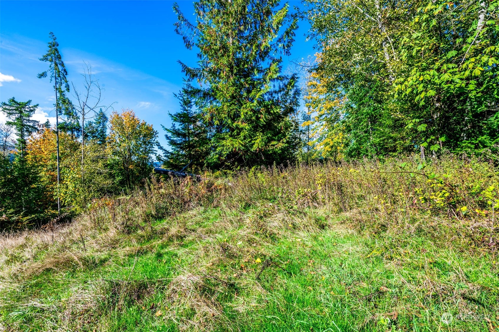 224-next To Greenwood Road Kalama, WA 98625 - Photo 3 of 16 Gallery Image 3