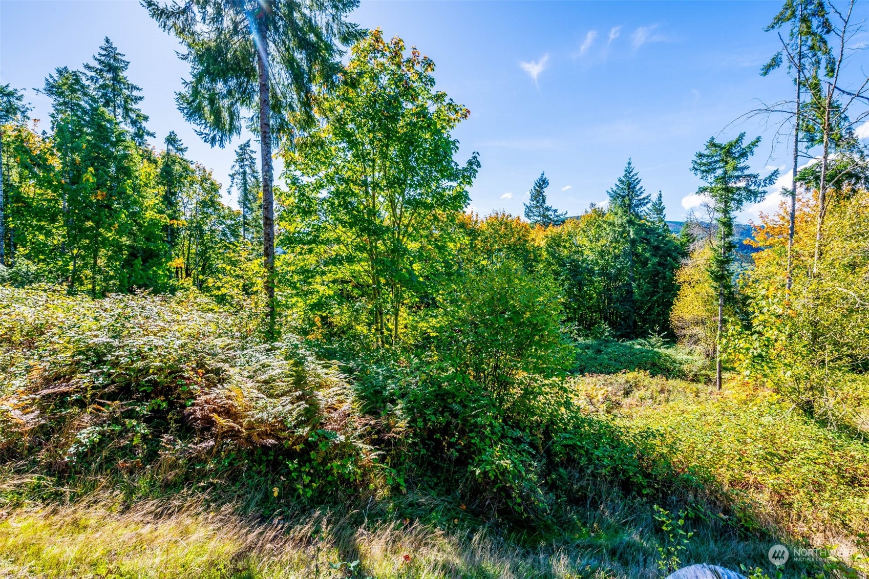 224-next To Greenwood Road Kalama, WA 98625 - Photo 6 of 16 Gallery Image 6