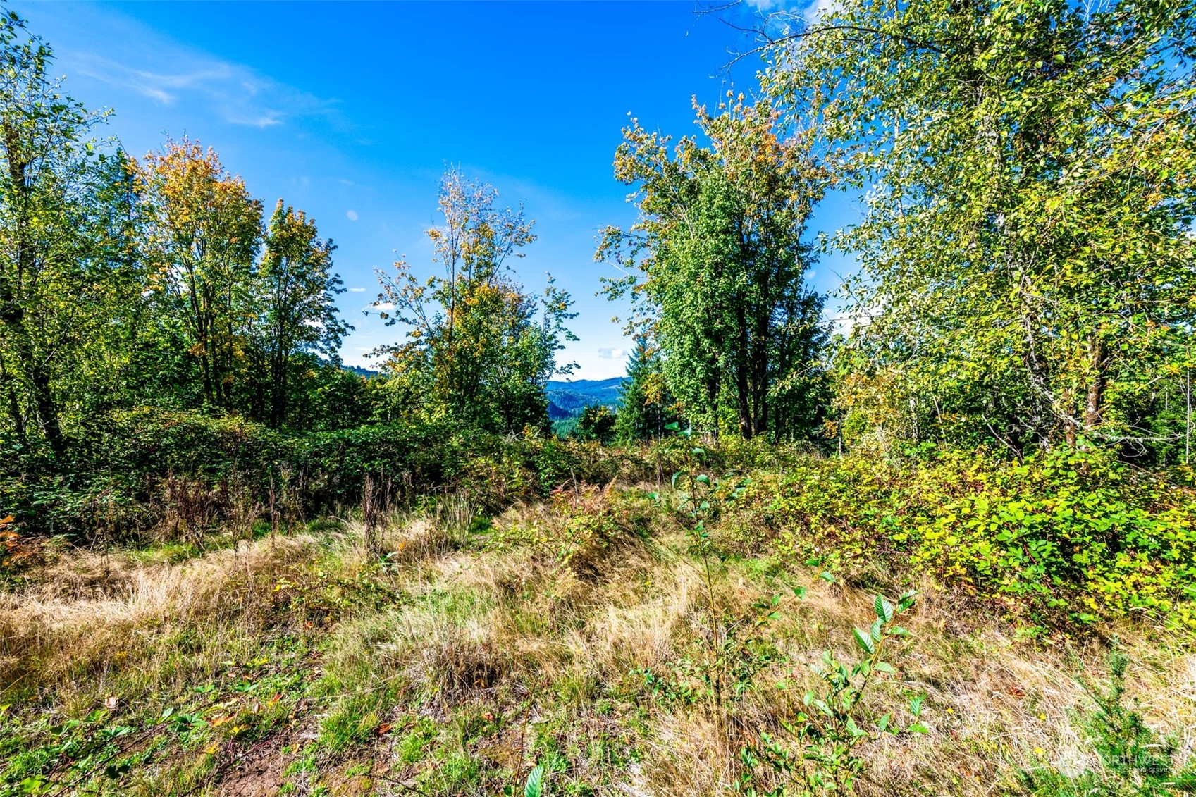 224-next To Greenwood Road Kalama, WA 98625 - Photo 9 of 16 Gallery Image 9
