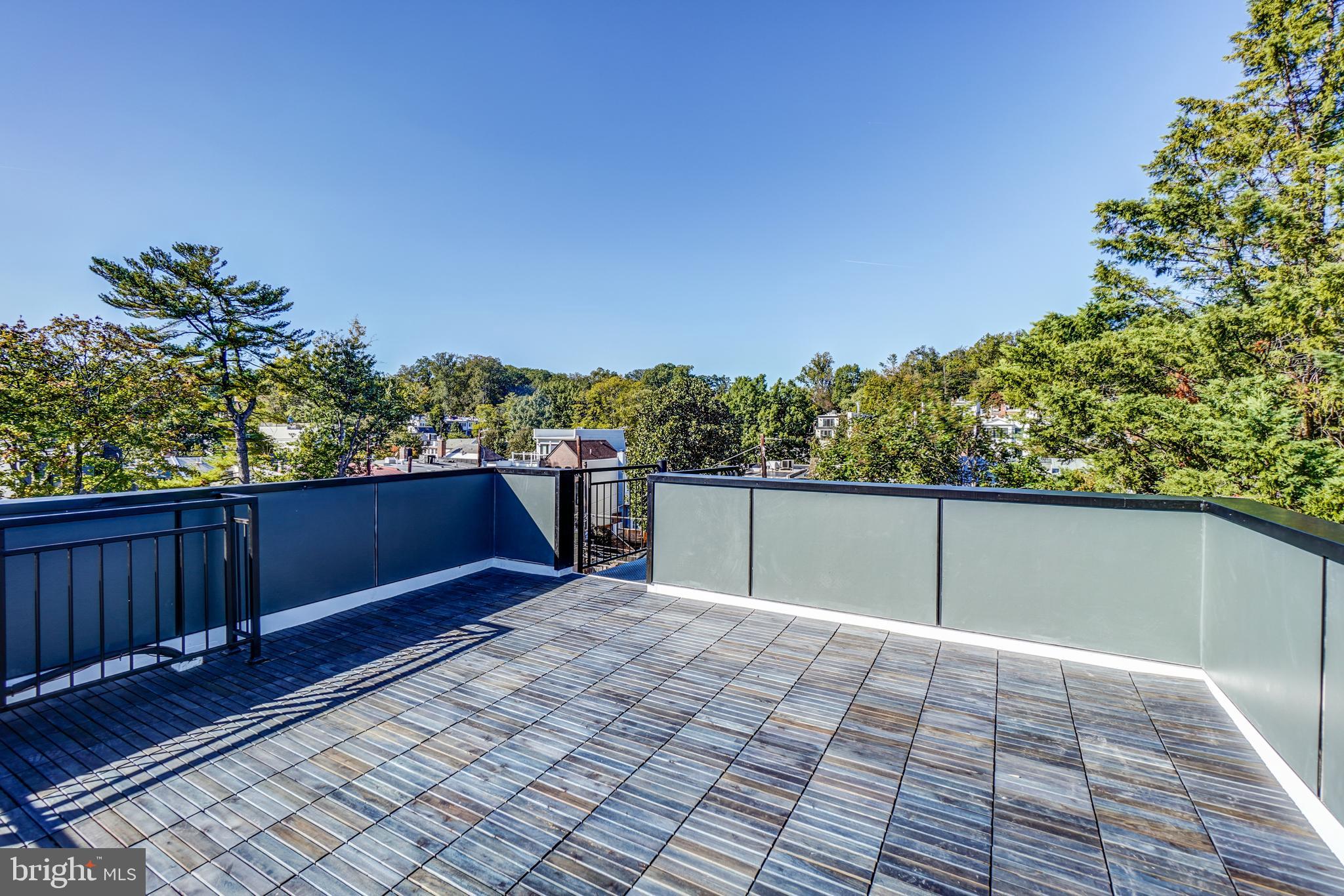 3615 S Street Northwest Washington, DC 20007 - Photo 37 of 48 Roof top deck w/tree-top District views.