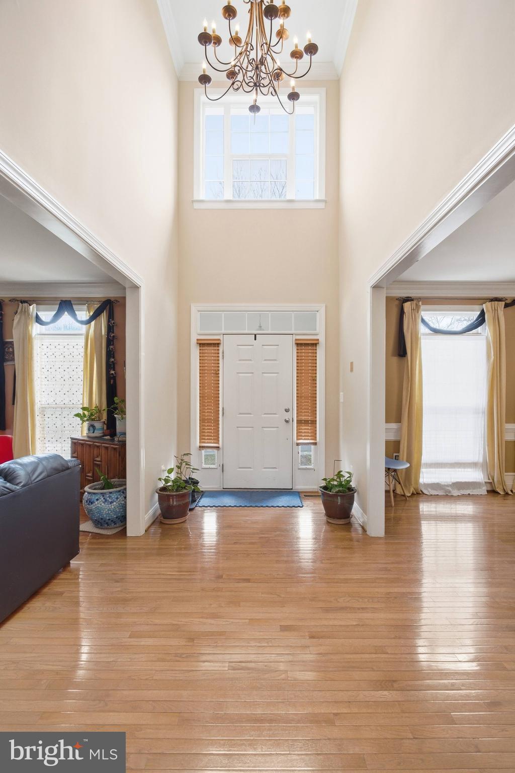 22471 Pine Ridge Court Ashburn, VA 20148 - Photo 23 of 43