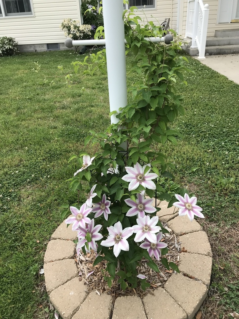 1015 South Locust Street Sesser, IL 62884 - Photo 2 of 20