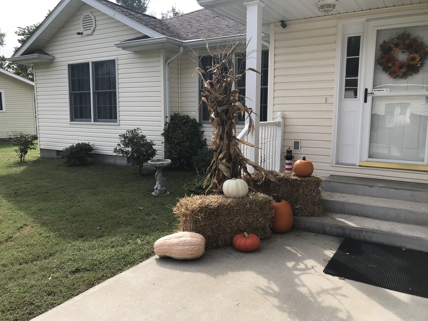 1015 South Locust Street Sesser, IL 62884 - Photo 3 of 20