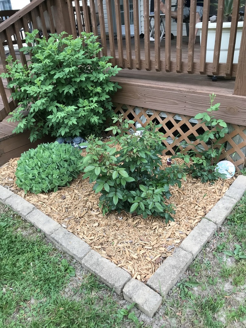 1015 South Locust Street Sesser, IL 62884 - Photo 6 of 20