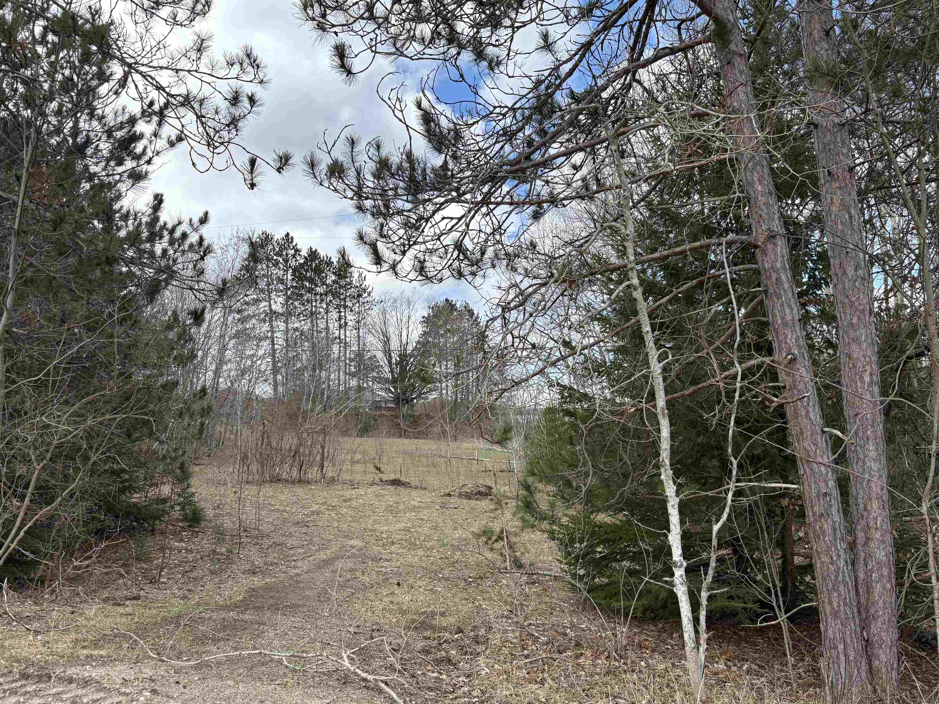 2450 North Marshall Road Beulah, MI 49617 - Photo 11 of 21