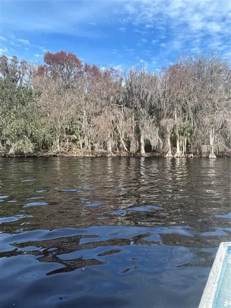 $425,000 | 233 Stella Road, Georgetown, FL 32139