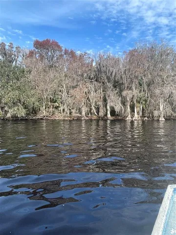 $449,000 | 233 Stella Road, Georgetown, FL 32139