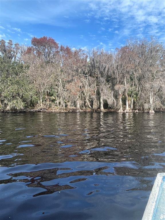 233 Stella Road Georgetown, FL 32139 - Photo 1 of 6