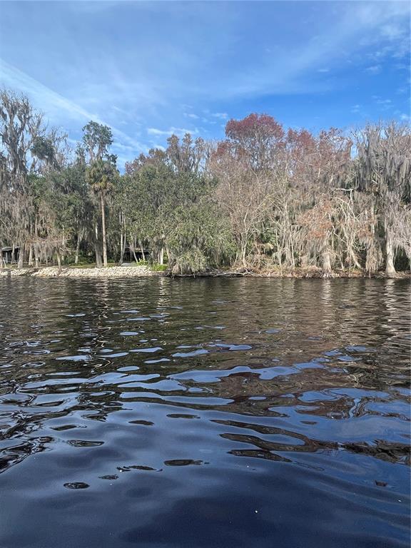 233 Stella Road Georgetown, FL 32139 - Photo 2 of 6