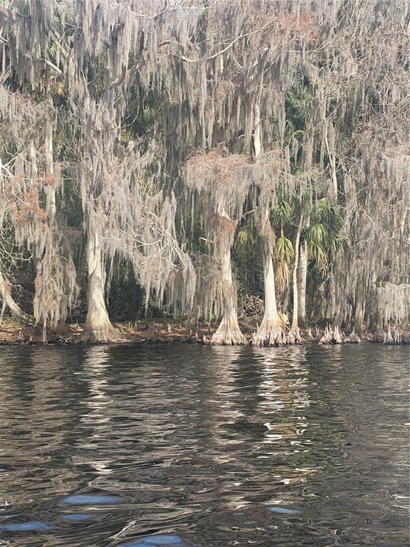 233 Stella Road Georgetown, FL 32139 - Photo 3 of 6