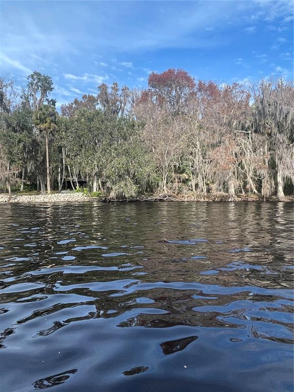 233 Stella Road Georgetown, FL 32139 - Photo 5 of 6