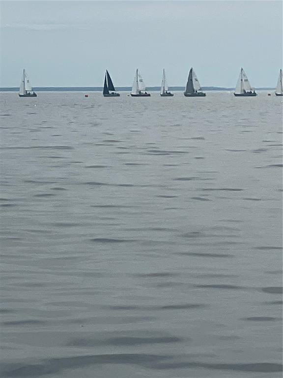 233 Stella Road Georgetown, FL 32139 - Photo 6 of 6