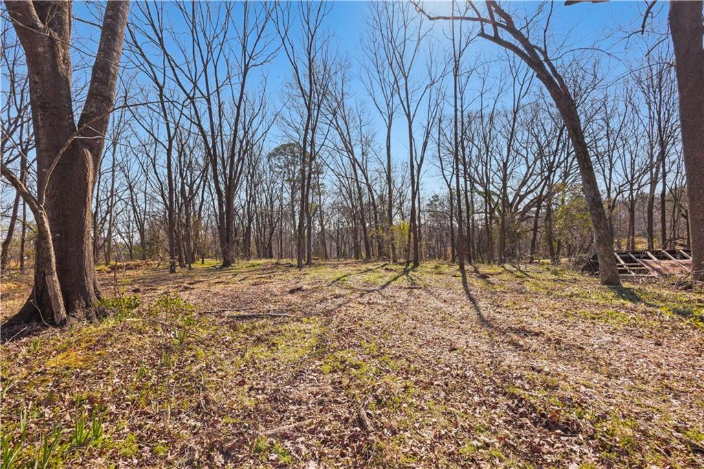 0 Winford Smith Road Athens, GA 30607 - Photo 3 of 13