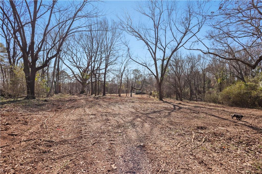 0 Winford Smith Road Athens, GA 30607 - Photo 4 of 13