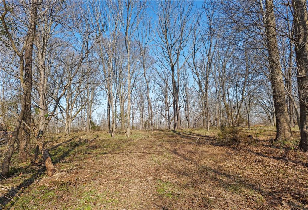 0 Winford Smith Road Athens, GA 30607 - Photo 5 of 13