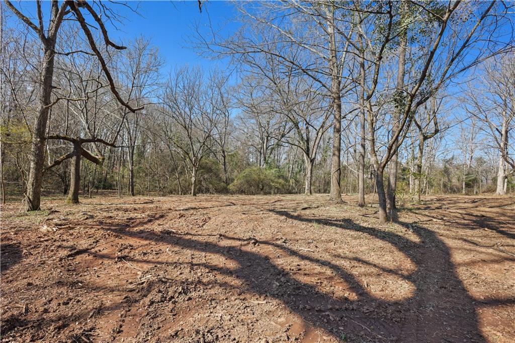 0 Winford Smith Road Athens, GA 30607 - Photo 6 of 13