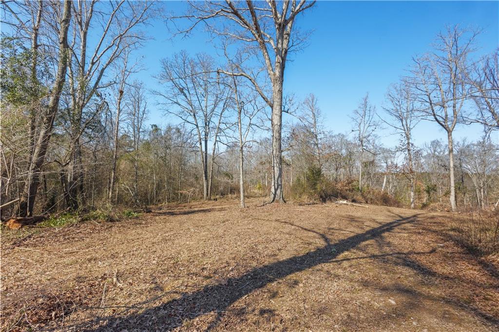 0 Winford Smith Road Athens, GA 30607 - Photo 7 of 13