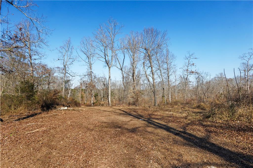 0 Winford Smith Road Athens, GA 30607 - Photo 8 of 13