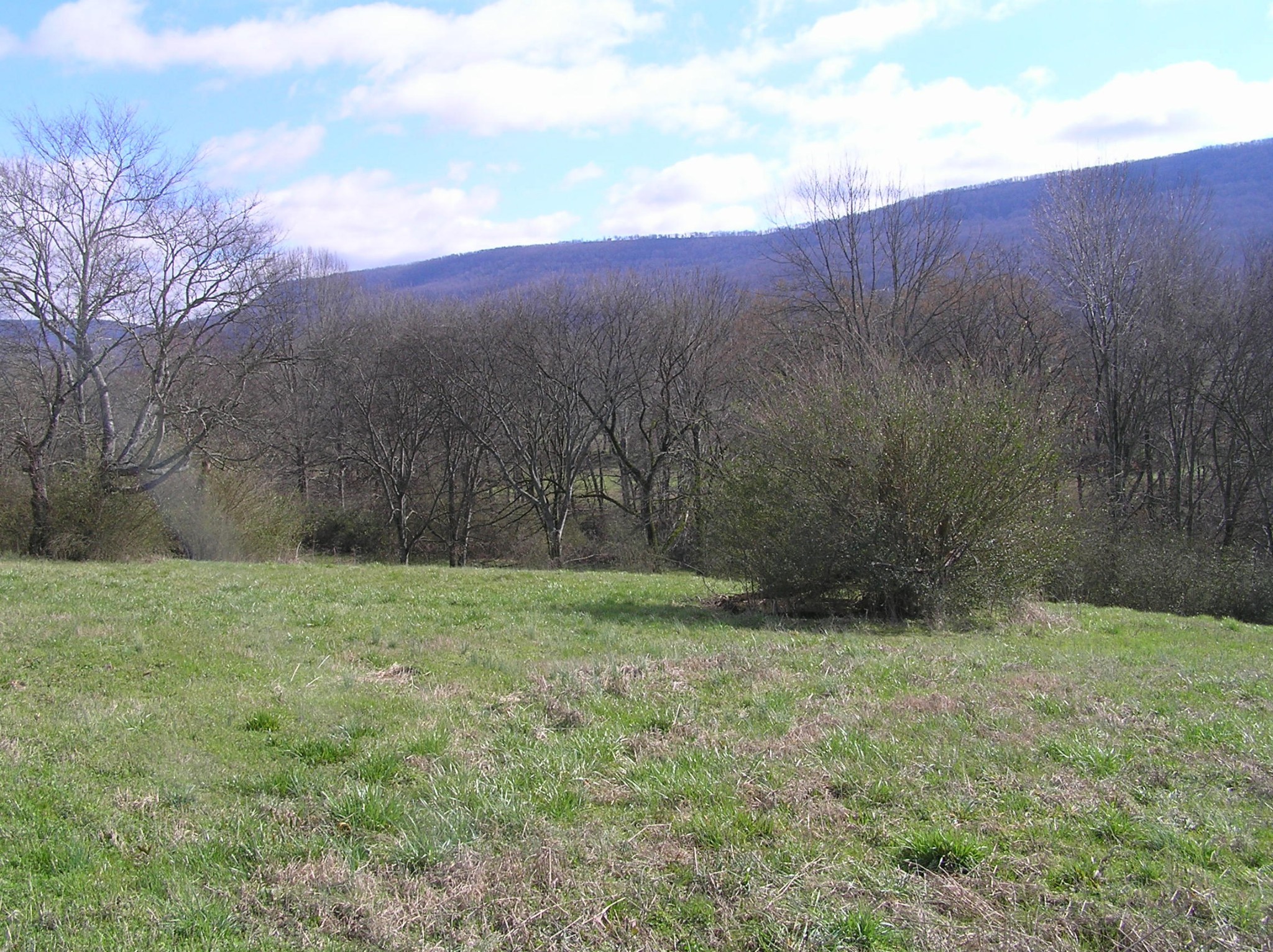1072 Hudlow Road Dunlap, TN 37327 - Photo 11 of 30 Gallery Image 11