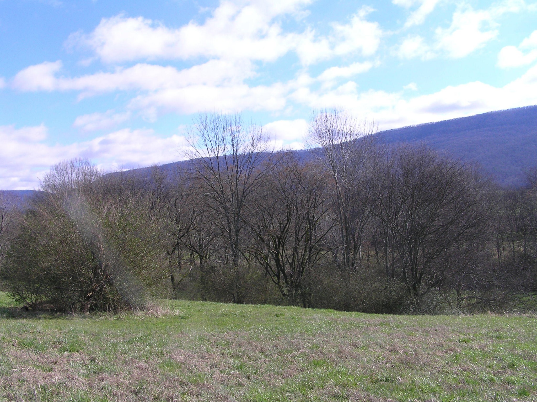 1072 Hudlow Road Dunlap, TN 37327 - Photo 13 of 30 Gallery Image 13