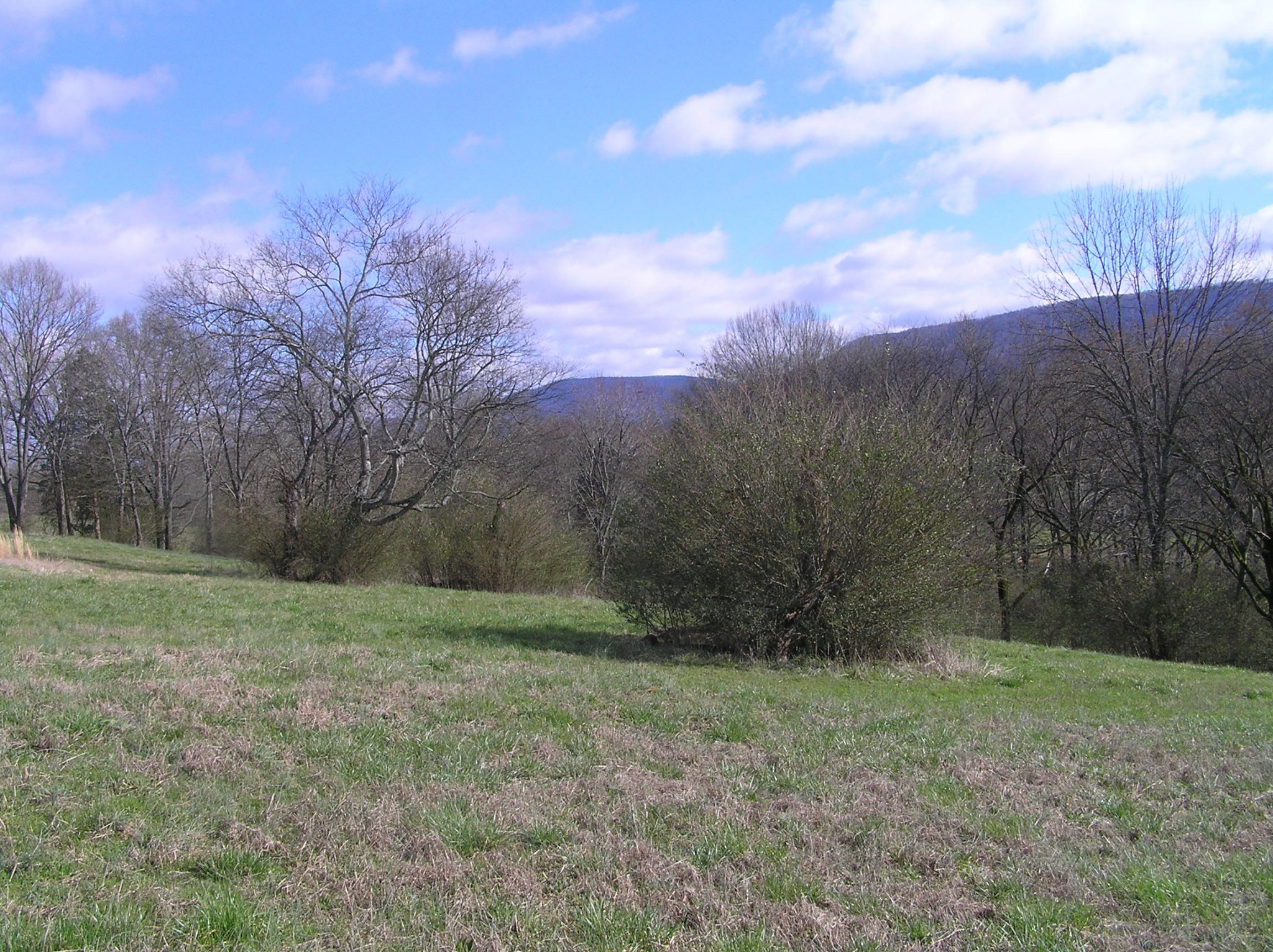 1072 Hudlow Road Dunlap, TN 37327 - Photo 14 of 30 Gallery Image 14