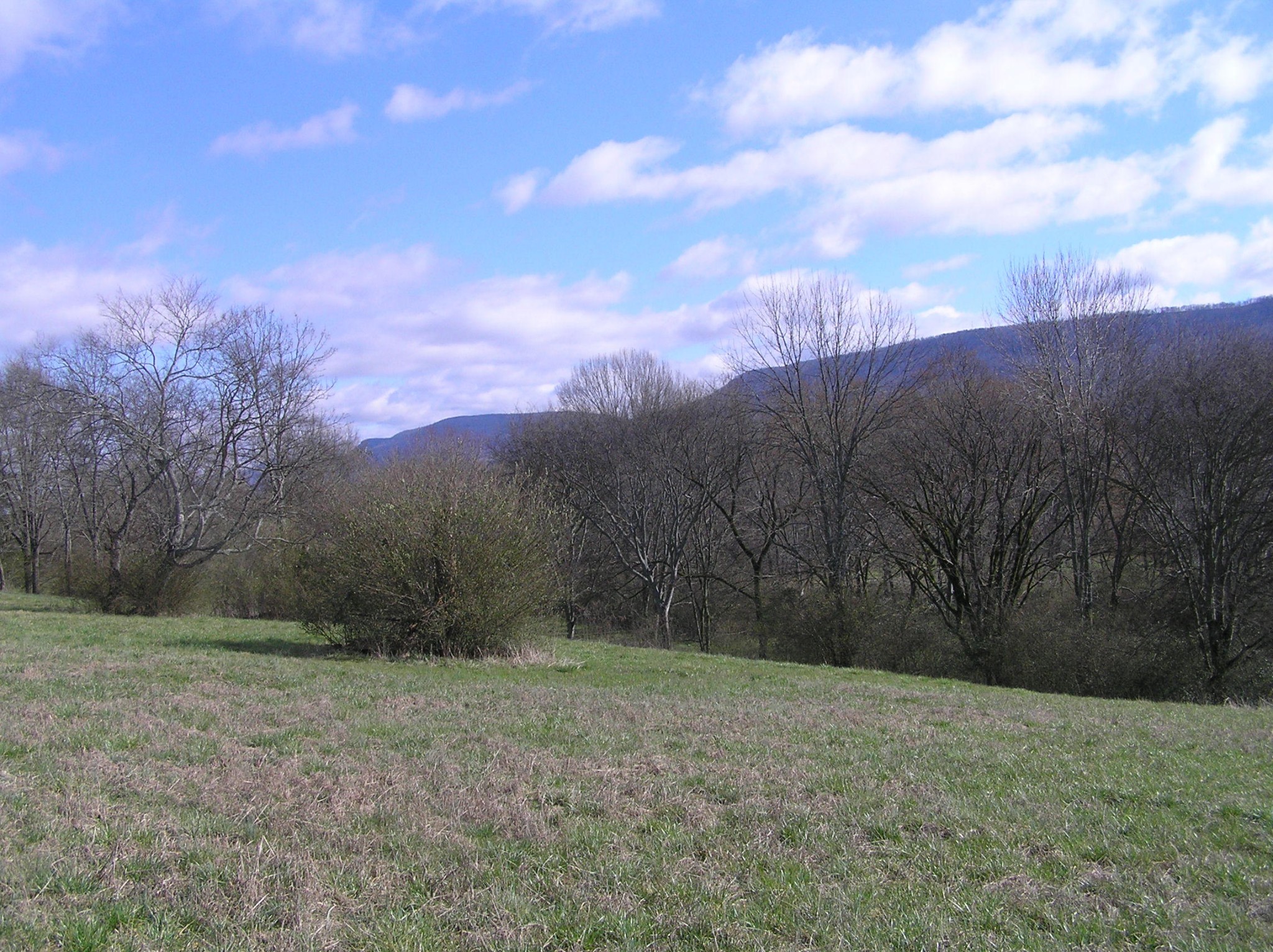 1072 Hudlow Road Dunlap, TN 37327 - Photo 17 of 30 Gallery Image 17