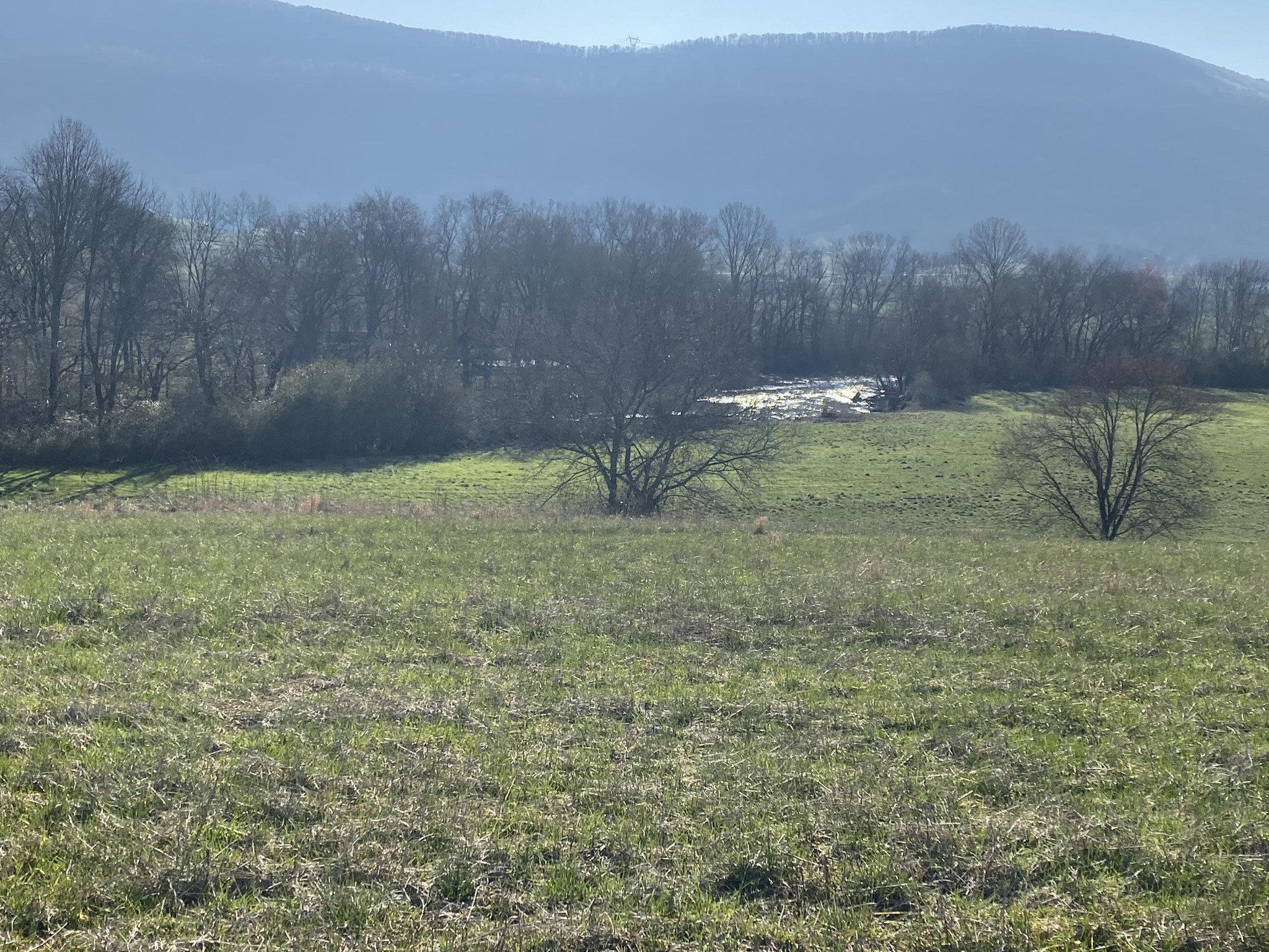 1072 Hudlow Road Dunlap, TN 37327 - Photo 5 of 30 Gallery Image 5