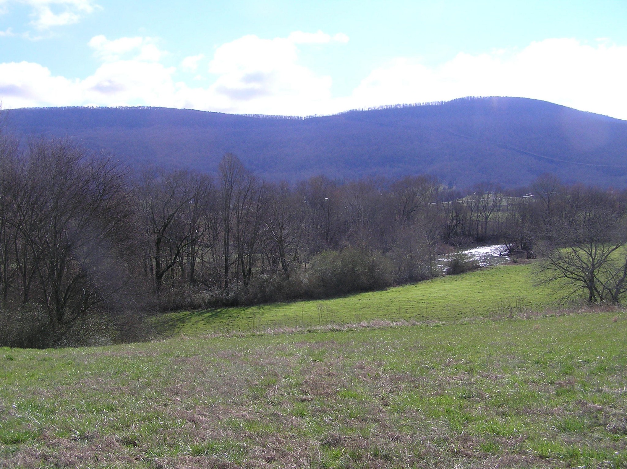 1072 Hudlow Road Dunlap, TN 37327 - Photo 7 of 30 Gallery Image 7