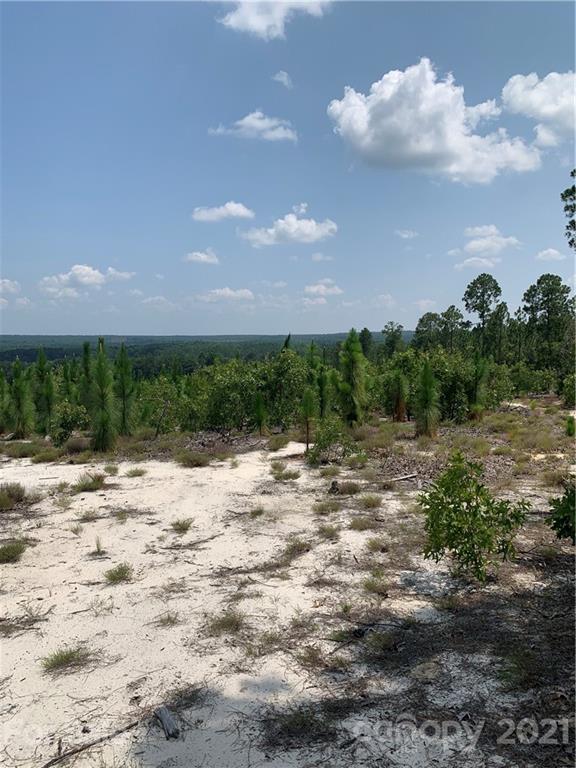 1787 St John Church Road Patrick, SC 29584 - Photo 11 of 48 a view of a dry yard with wooden fence