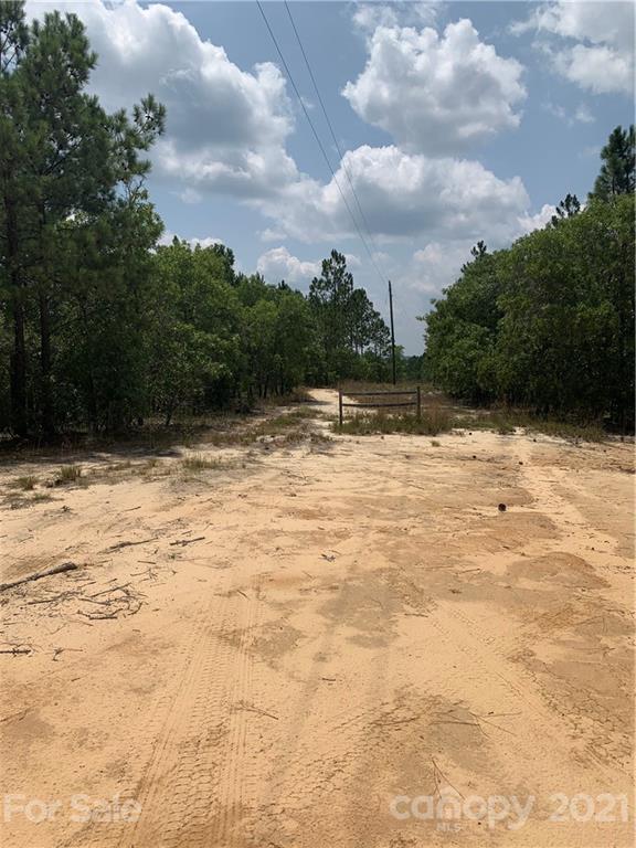 1787 St John Church Road Patrick, SC 29584 - Photo 16 of 48 a view of ocean view