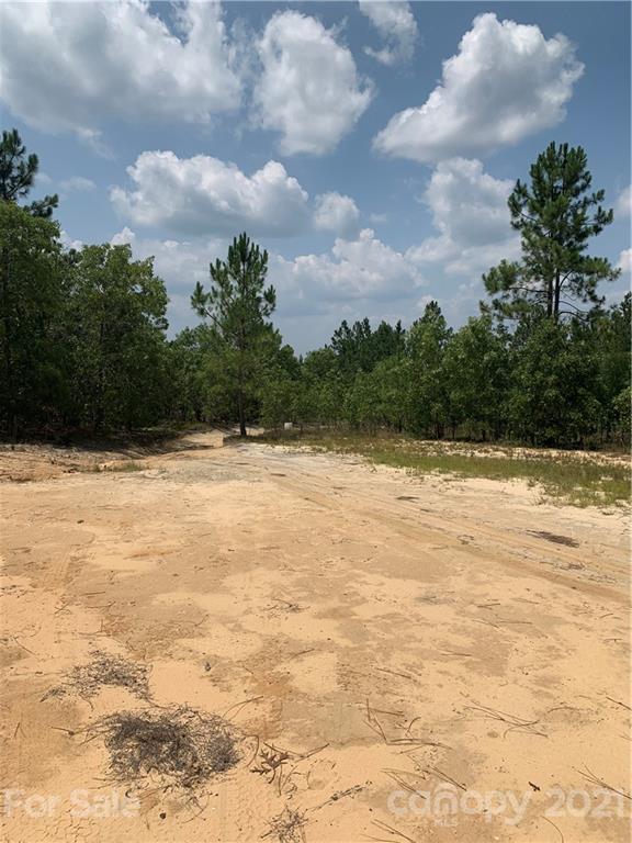 1787 St John Church Road Patrick, SC 29584 - Photo 17 of 48 a view of a lake view