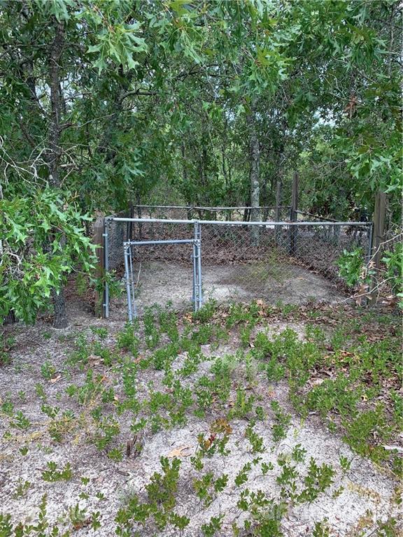 1787 St John Church Road Patrick, SC 29584 - Photo 39 of 48 a backyard of a house with lots of green space