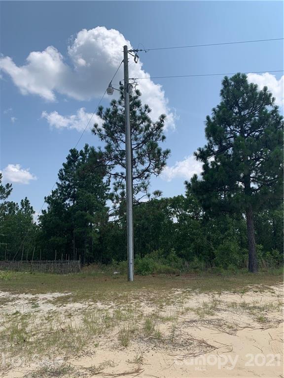 1787 St John Church Road Patrick, SC 29584 - Photo 8 of 48 a view of a yard with a tree