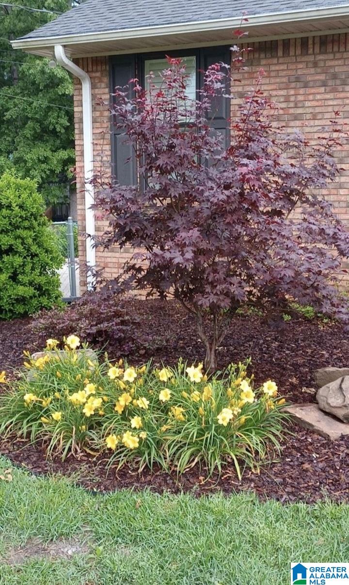 1051 Morris Majestic Road Morris, AL 35116 - Photo 31 of 47