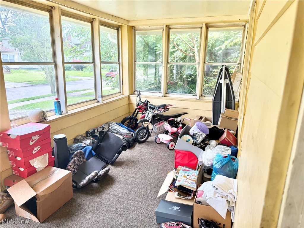 Sunroom featuring carpet floors and plenty of natural light