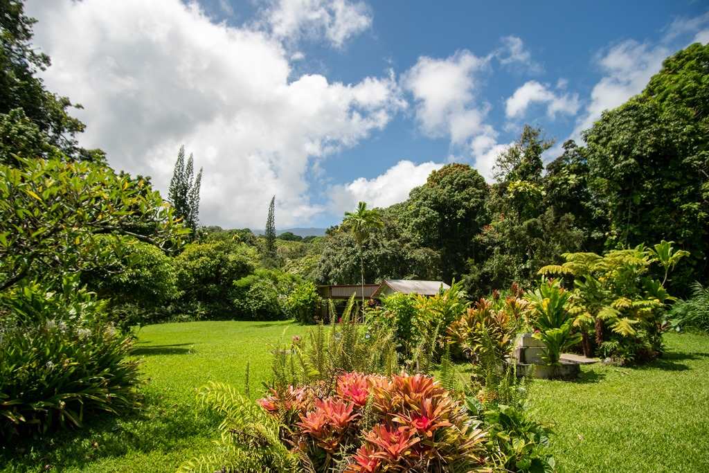 Nahiku Road Hana, HI 96713 - Photo 15 of 30 a view of a garden with flowers and wooden fence
