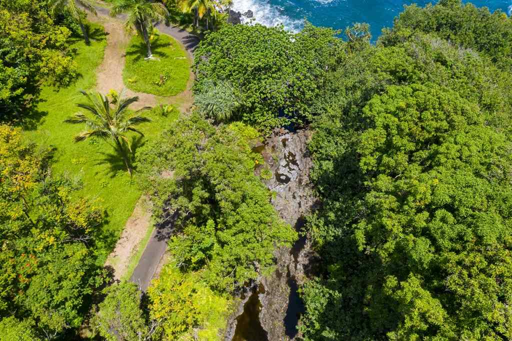 Nahiku Road Hana, HI 96713 - Photo 22 of 30 a plant view