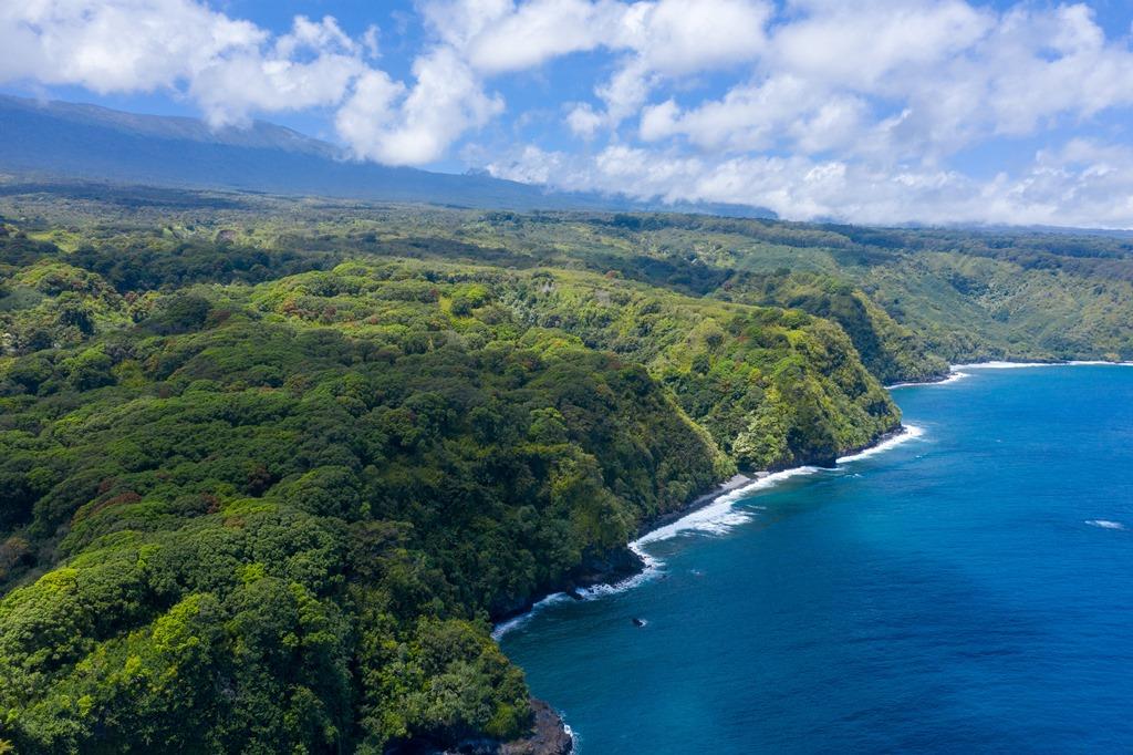 Nahiku Road Hana, HI 96713 - Photo 25 of 30 a view of a green field