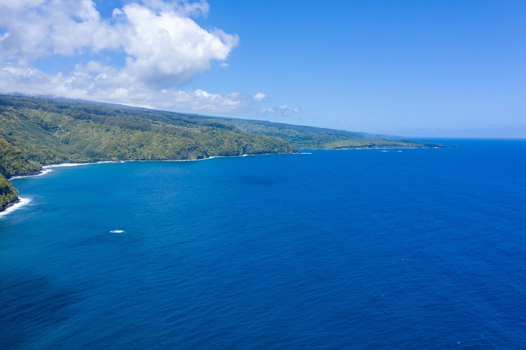 Nahiku Road Hana, HI 96713 - Photo 26 of 30 a view of an ocean