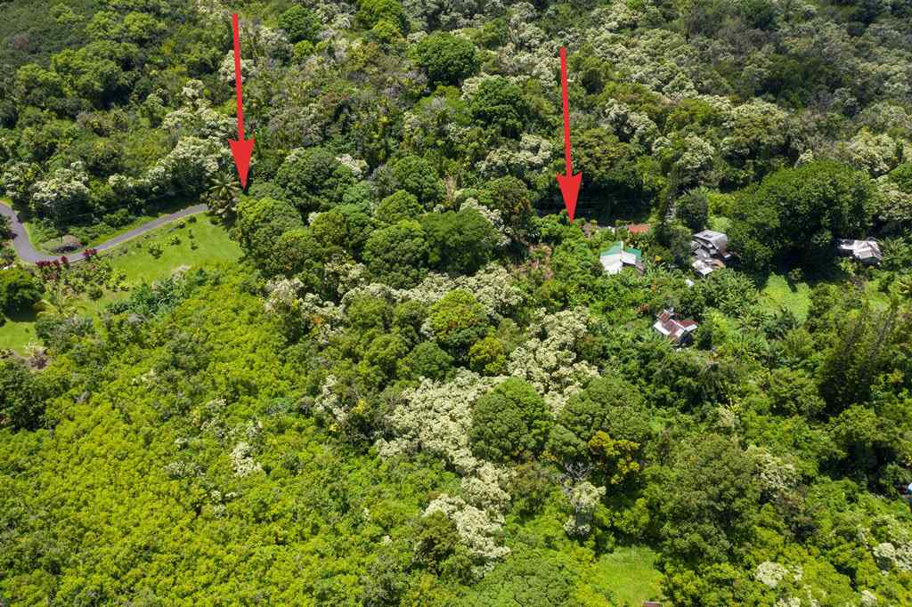 Nahiku Road Hana, HI 96713 - Photo 4 of 30