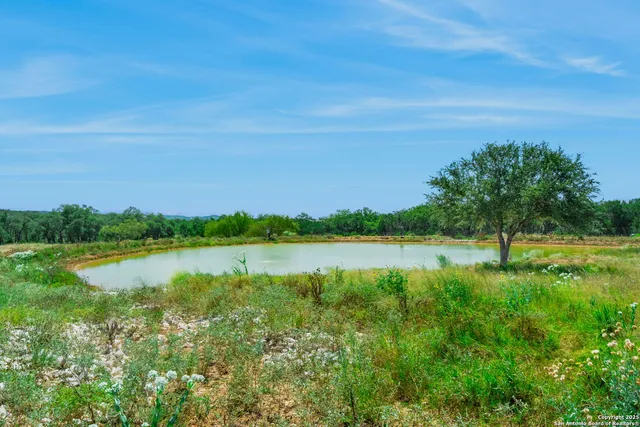 $2,895,000 | 716 Arbor Ridge Road, Fredericksburg, TX 78624