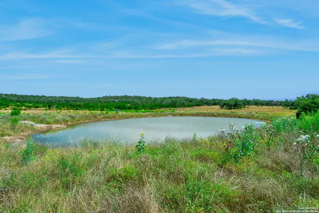 $2,895,000 | 716 Arbor Ridge Road, Fredericksburg, TX 78624