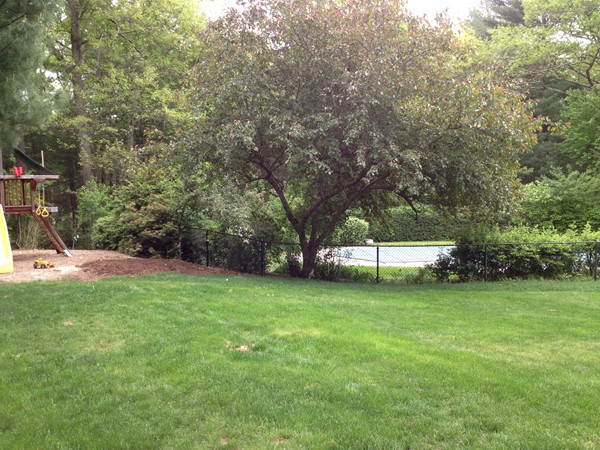 53 Shrine Road Norwell, MA 02061 - Photo 3 of 24 Gallery Image 3