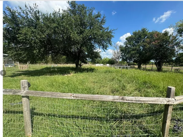 a view of field with grass and trees