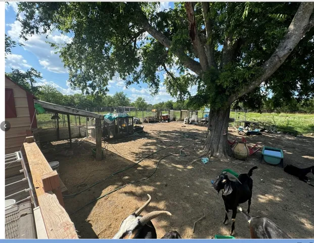 a view of backyard with outdoor seating and plants