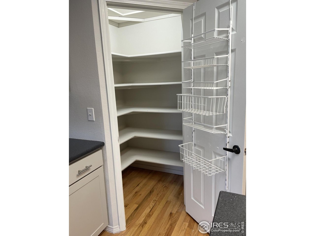 613 Rider Ridge Drive Longmont, CO 80504 - Photo 10 of 34 Kitchen walk in Pantry closet