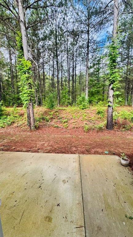 4078 Haleston Road Duluth, GA 30097 - Photo 18 of 25 a view of a yard with plants and large trees