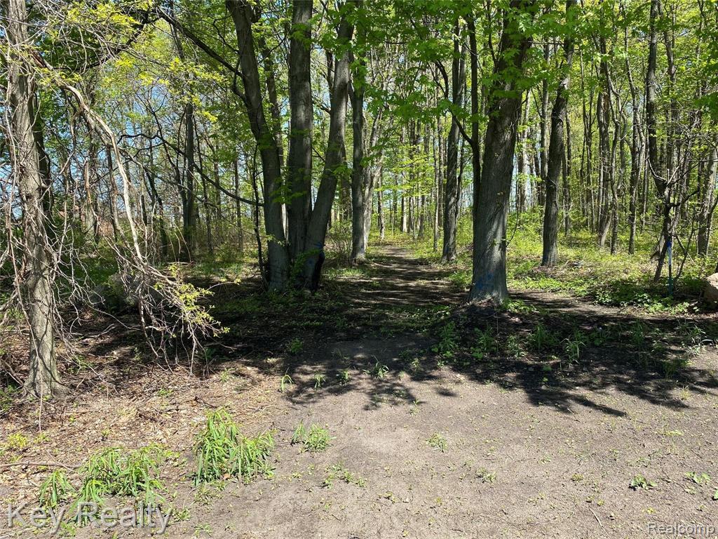 2020 Samaria Road Temperance, MI 48182 - Photo 28 of 70