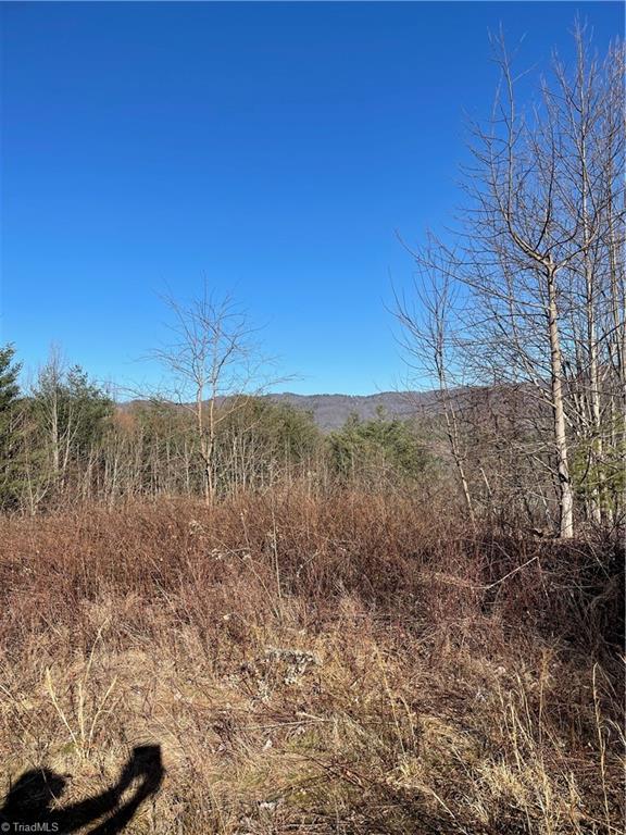 0 Lump Road Purlear, NC 28665 - Photo 3 of 3